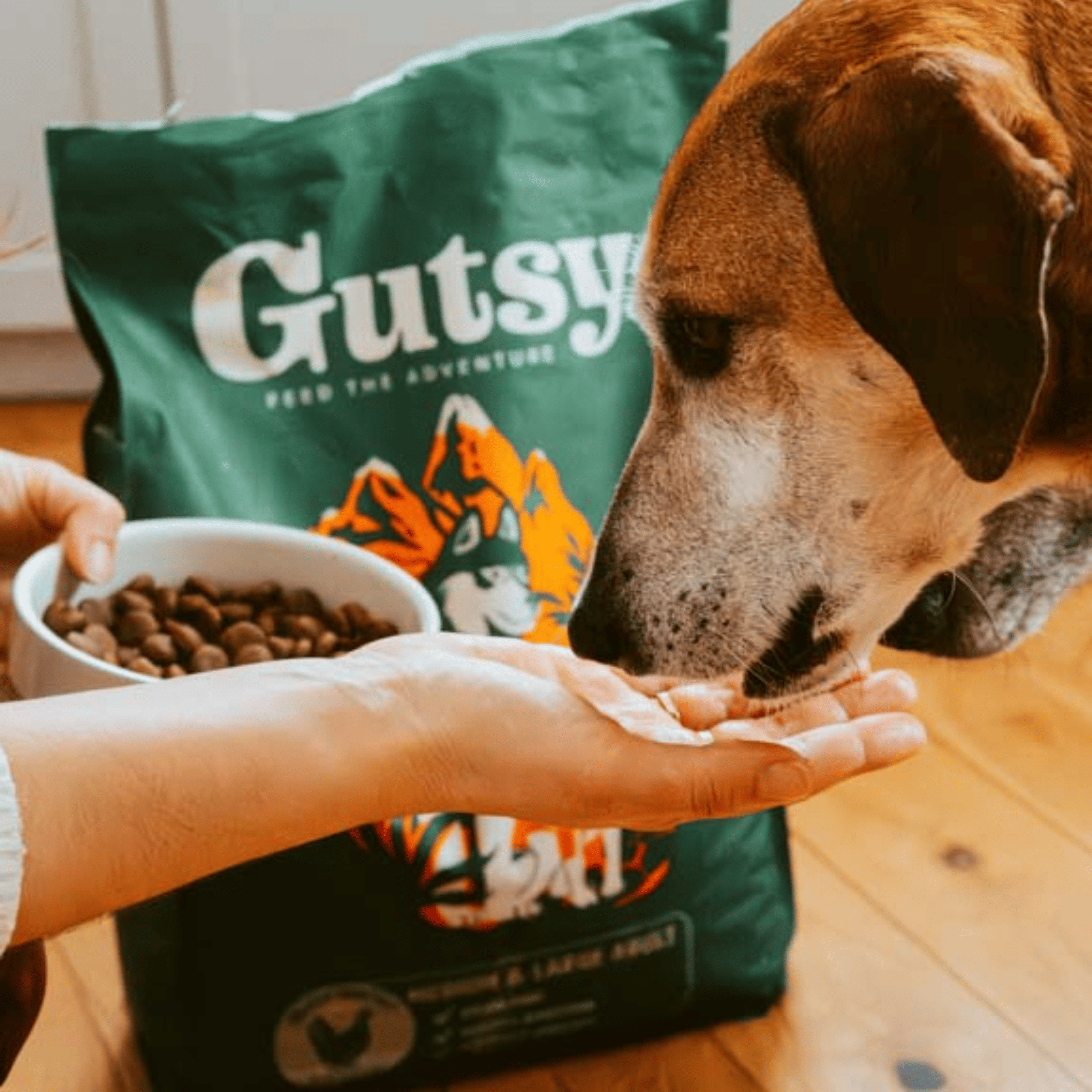 Croquettes aux insectes & poulet | Hypoallergéniques | Sans Céréales | Chien Adulte PONGO