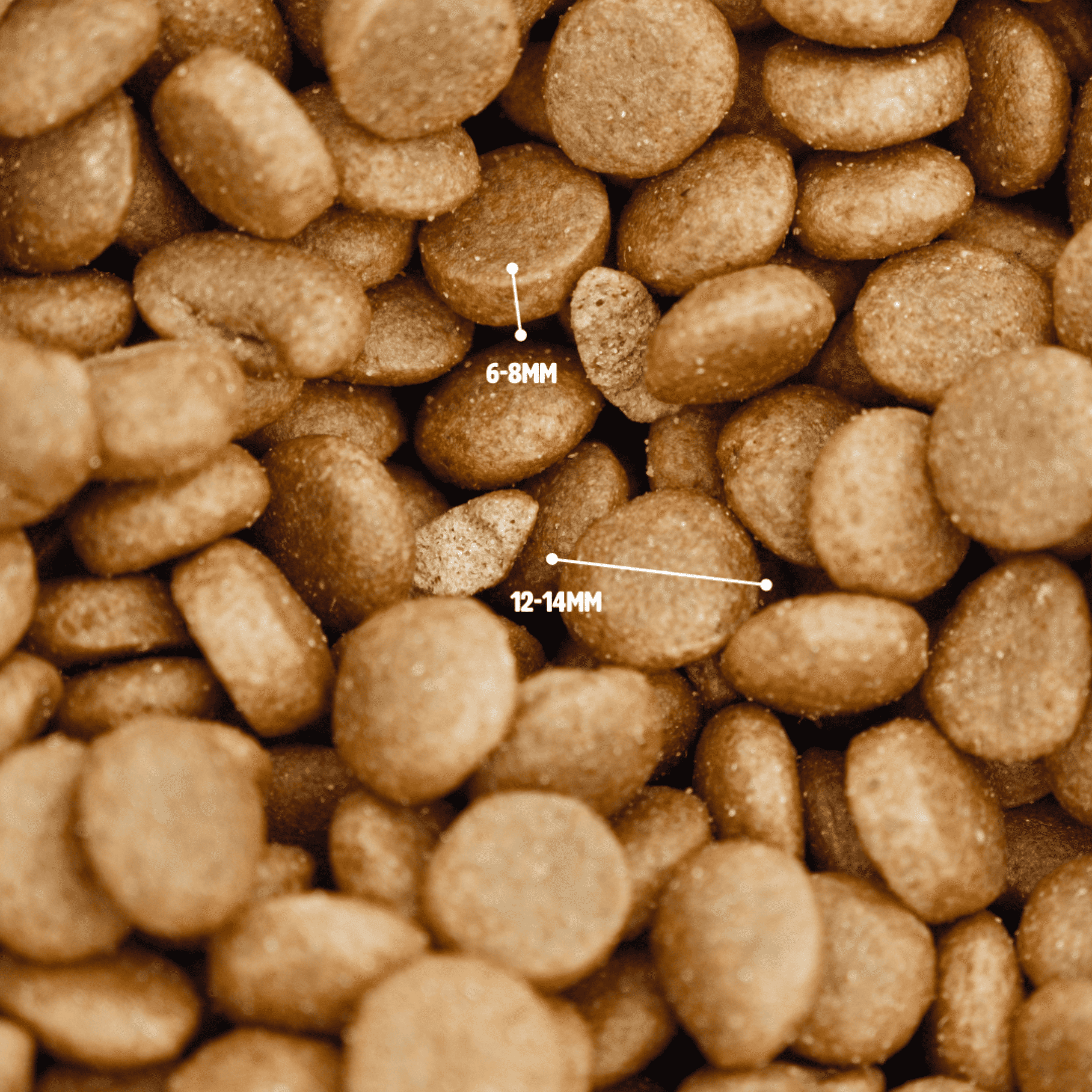 Croquettes aux insectes & poisson | Hypoallergéniques | Sans céréales | Moyenne & Grande taille PONGO