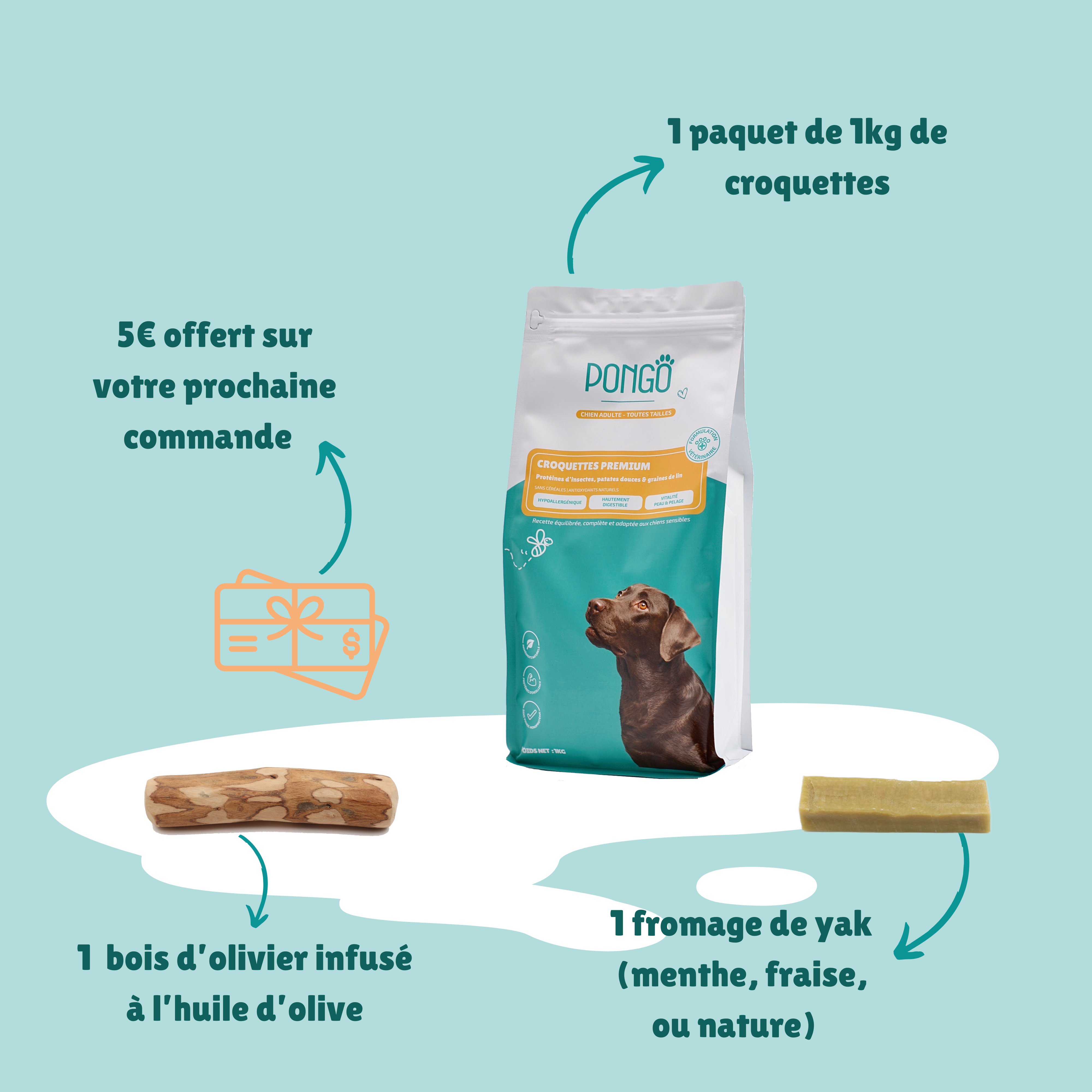 Croquettes aux insectes
Découvrez le pack découverte pour Chien sensibles sans céréales