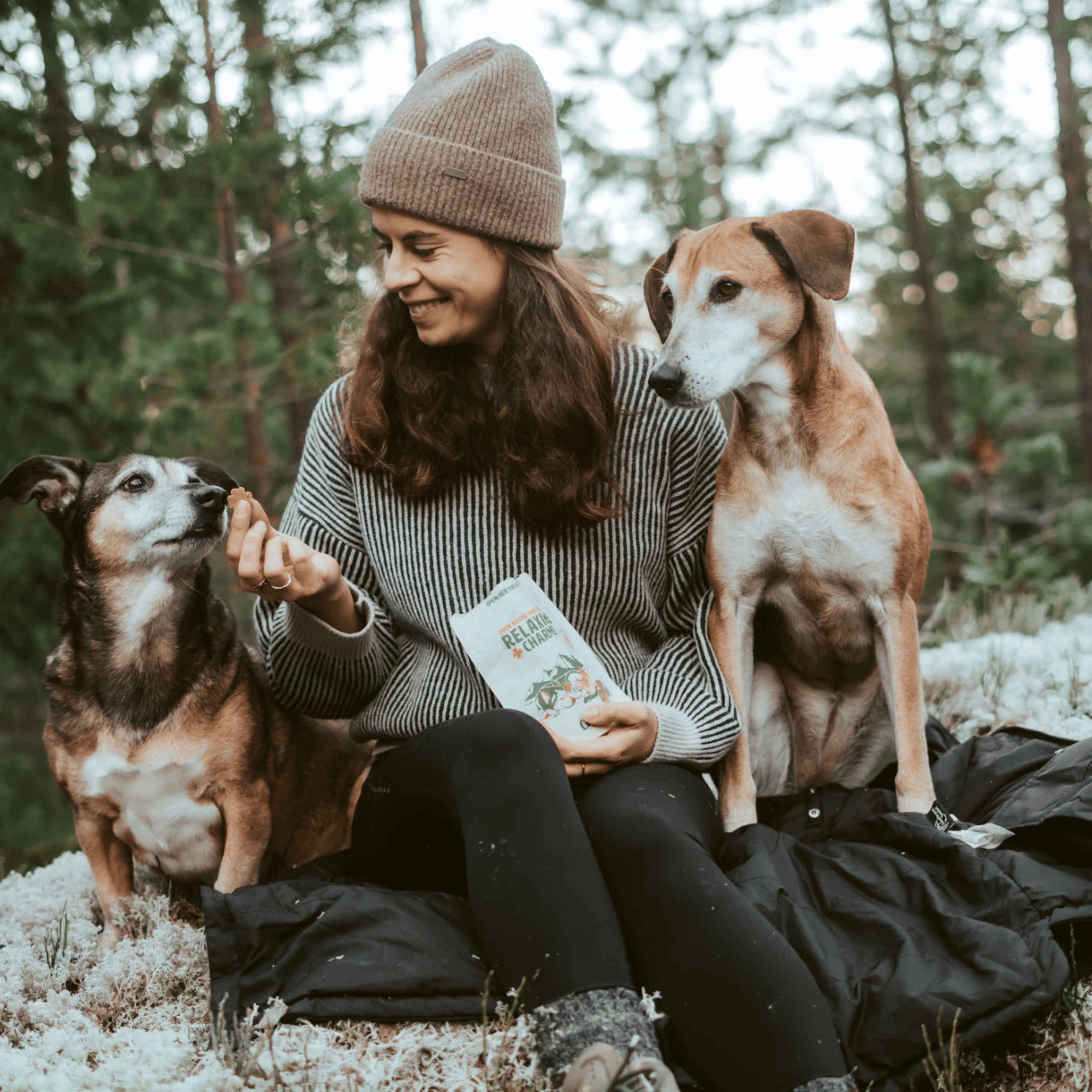 Friandises pour aider son chien à se détendre