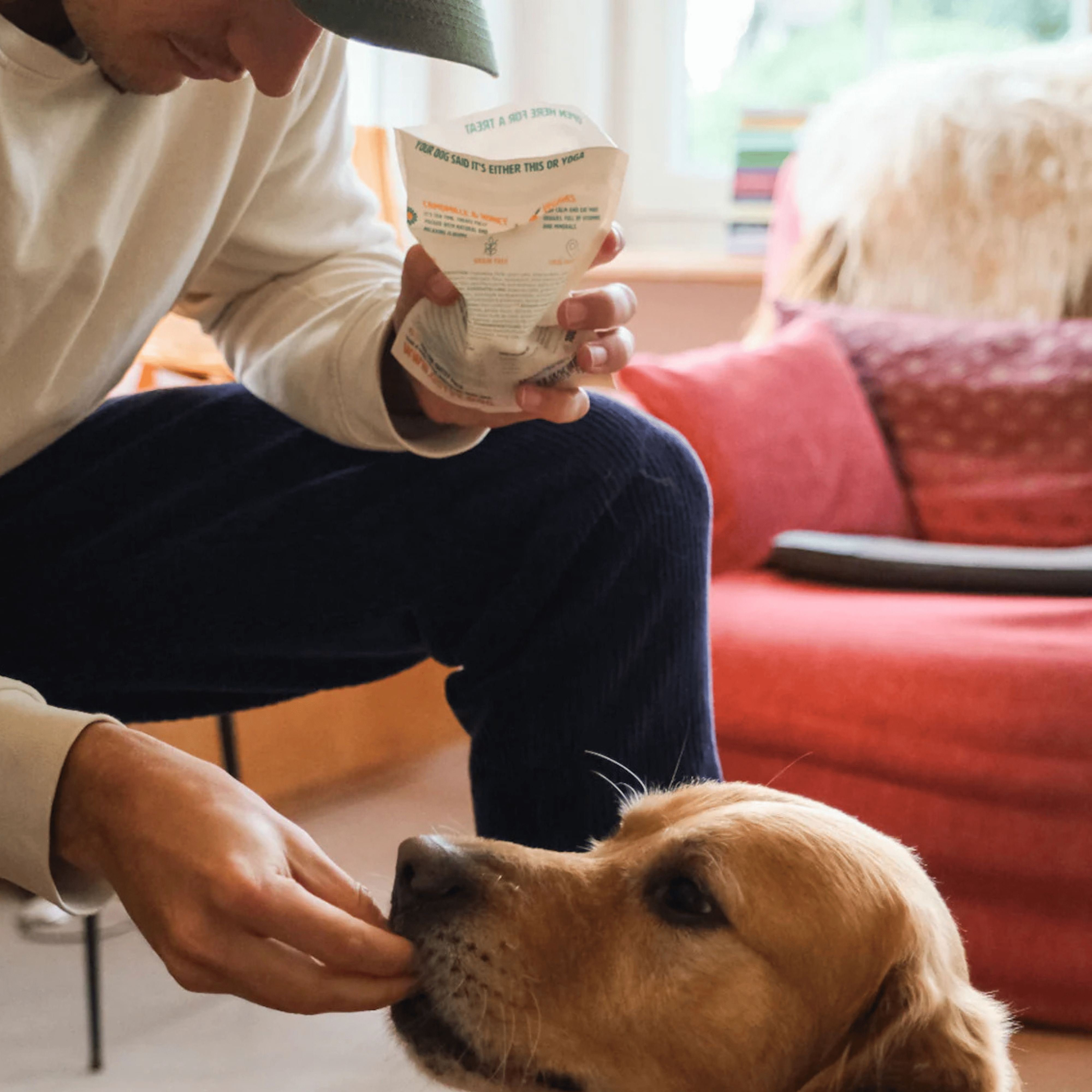 Friandises pour chien - zénitude PONGO