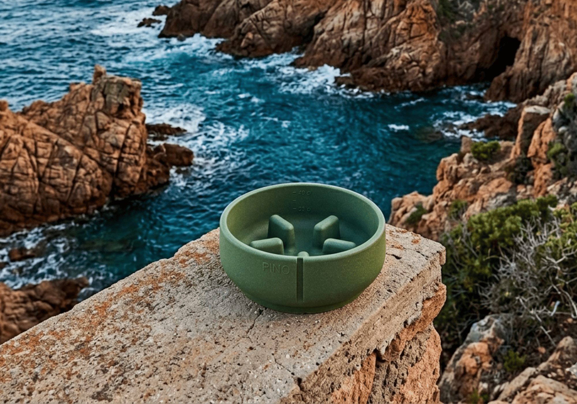 Gamelle anti glouton pour chien adaptée sensibles ou souffrant d'allergie alimentaire.