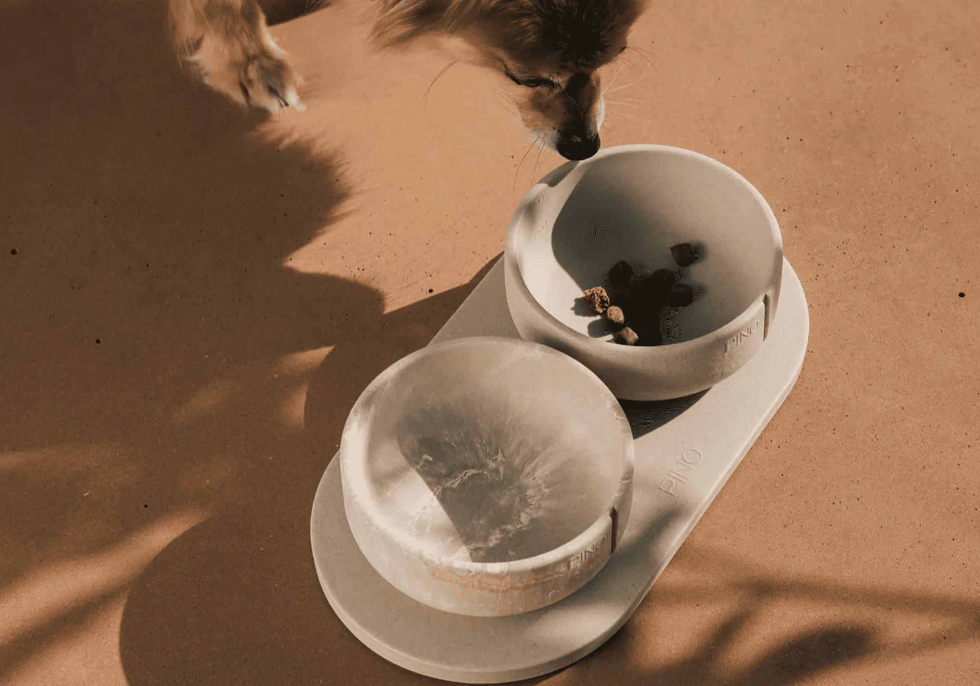 Gamelle pour chien design