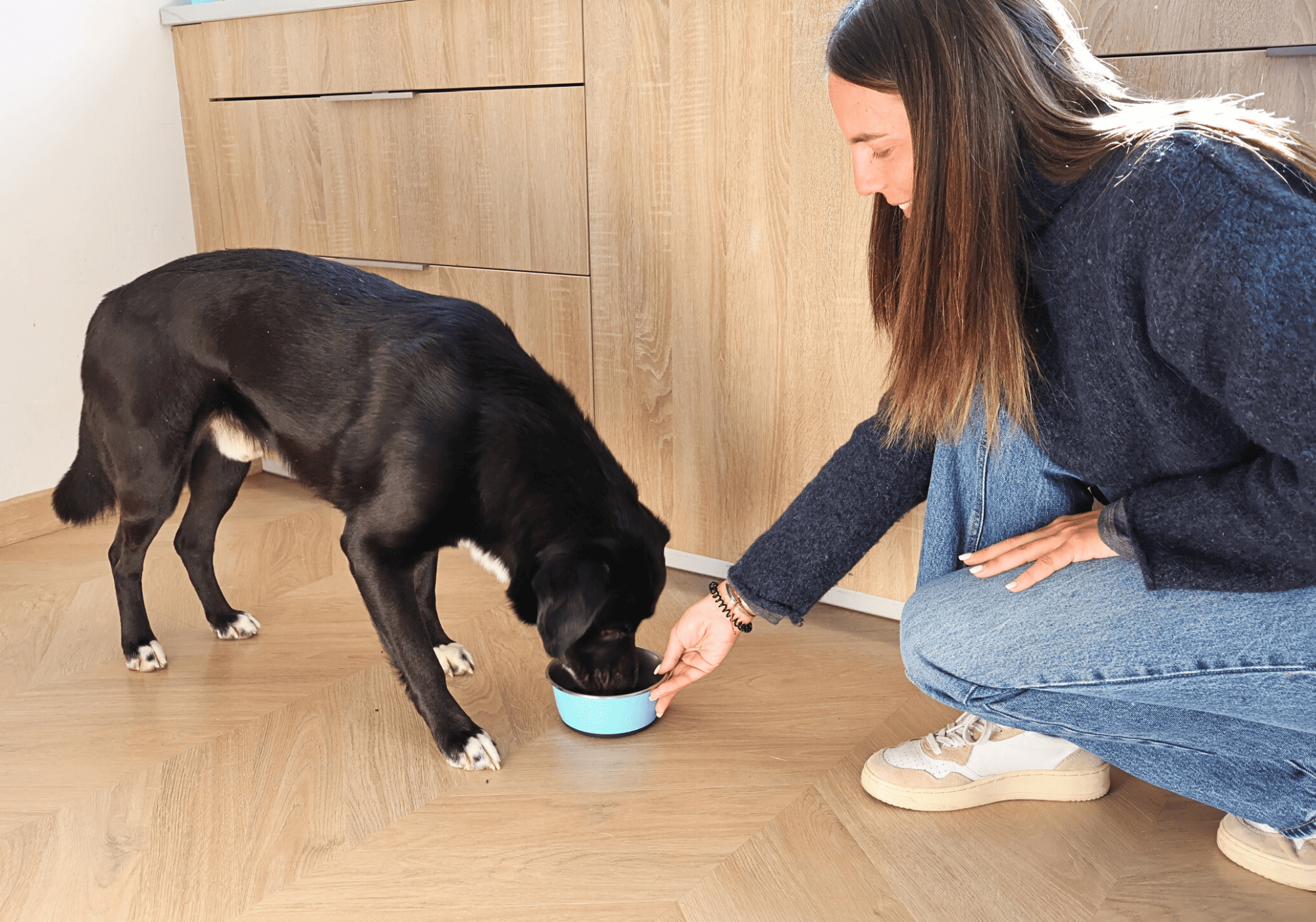 croquettes aux insectes 
Adapté aux chiens sensibles format 1kg dans le pack découverte