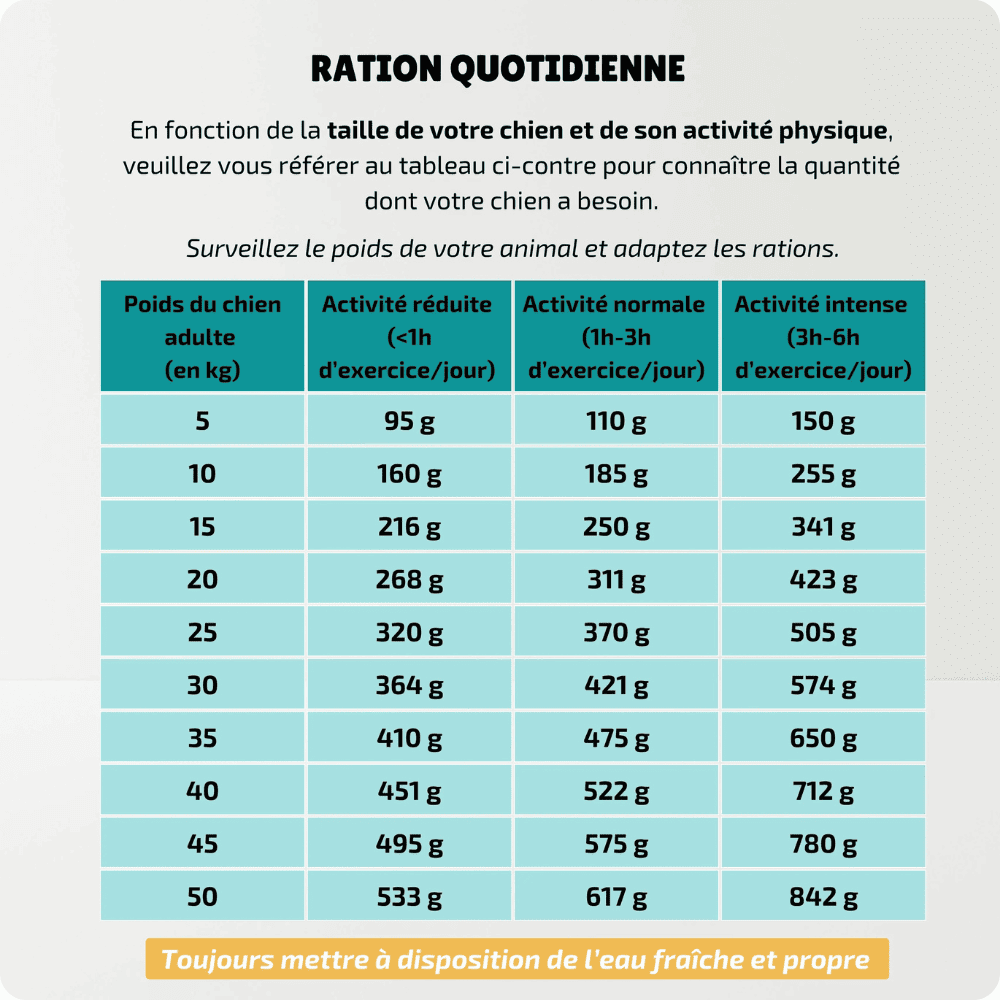 Ration quotidienne de nos croquettes aux insectes, hypoallergéniques pour chien.