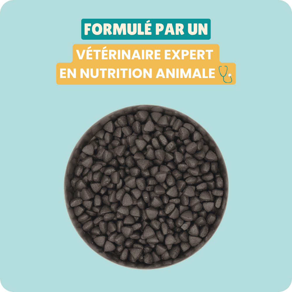 Gamelle avec nos croquettes aux insectes, hypoallergéniques pour chien