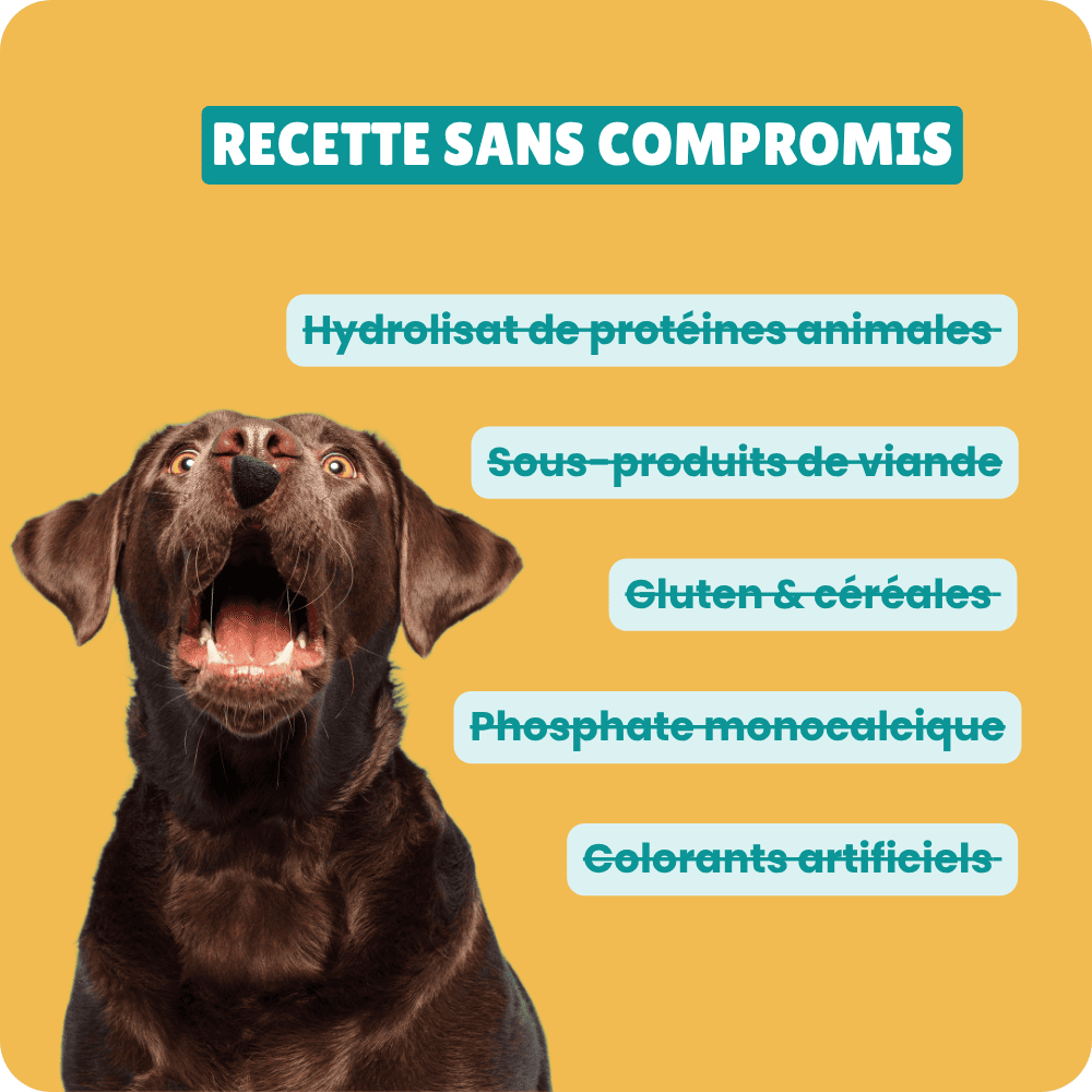 Croquettes aux insectes hypoallergéniques pour chien sensible. Sans ingrédients allergènes ni controversés.
Formulées par un vétérinaire expert en nutrition animale