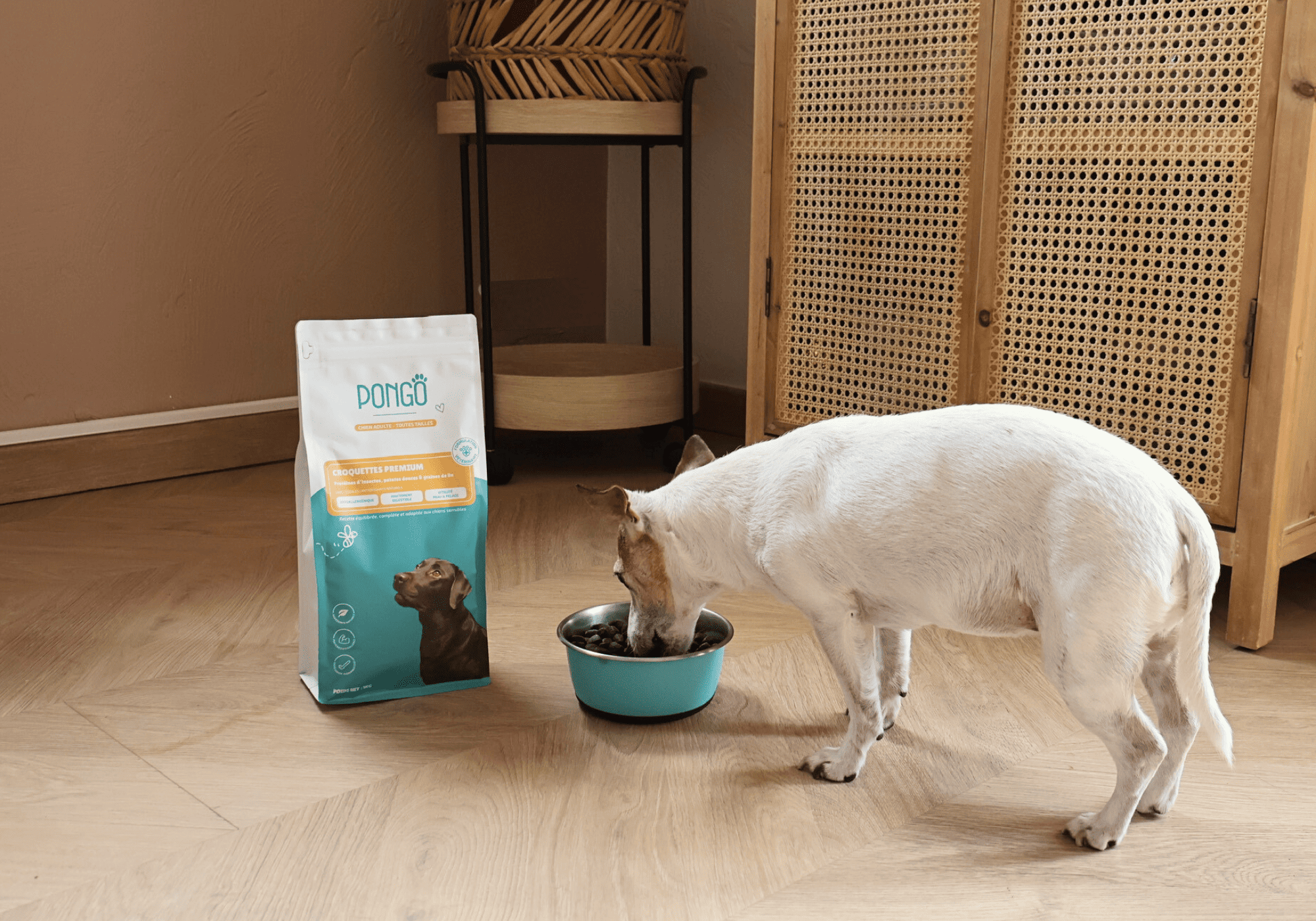 Croquettes hypoallergéniques pour chien permettant de soulager les allergies alimentaires, les diarrhées, les rougeurs et démangeaisons. Croquettes aux insectes.