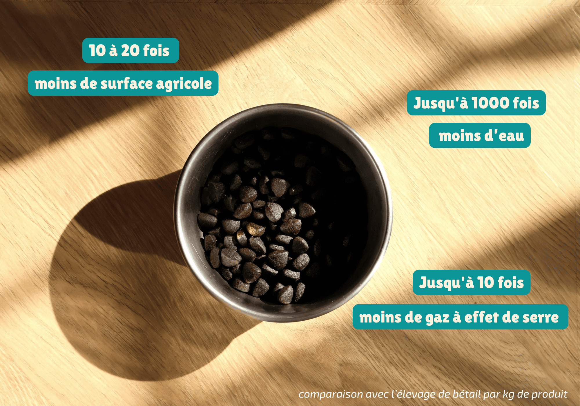 Croquettes hypoallergéniques pour chien qui sont des croquettes aux insectes qui sont plus écologique car la production d'insectes nécessitent moins de ressources.