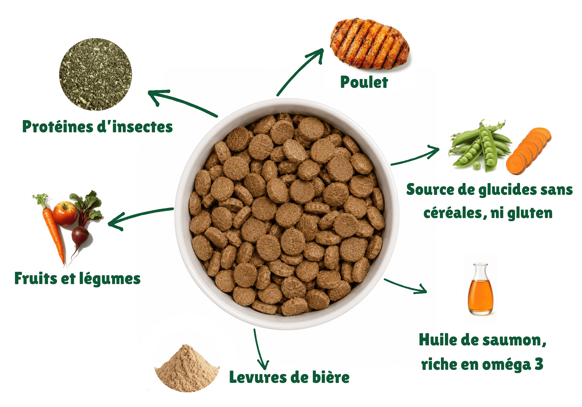 Croquettes pour chiens premium, avec des ingrédients naturels