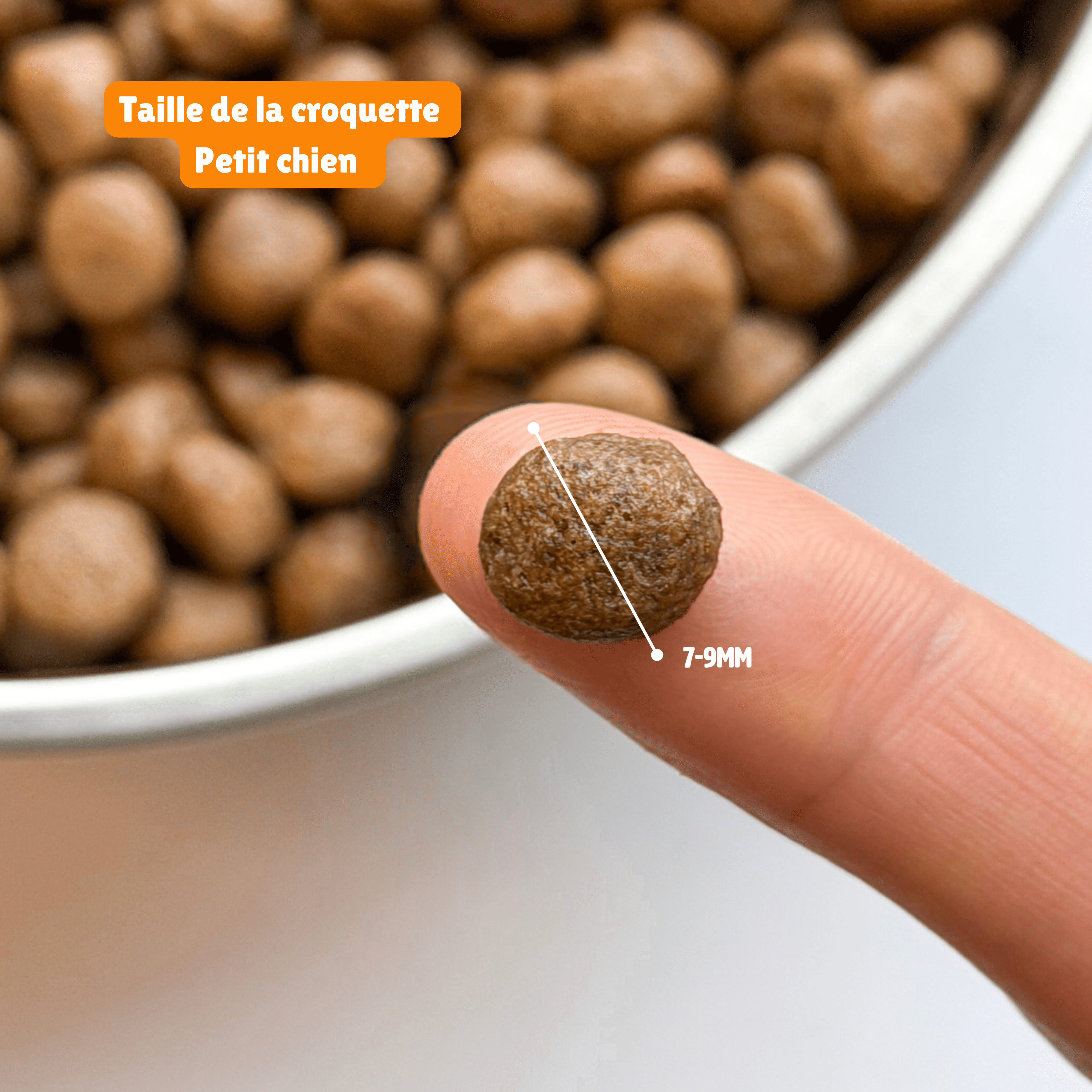 Meilleures croquettes aux insectes pour chiens adaptées pour les estomacs fragiles.