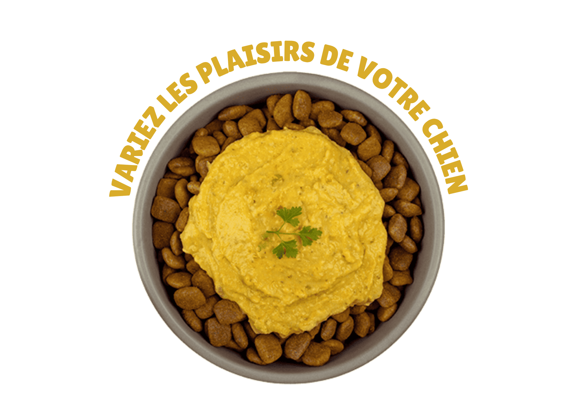 Nourriture humide pour chien digestif sans gluten adaptée aux sensibilités alimentaires.