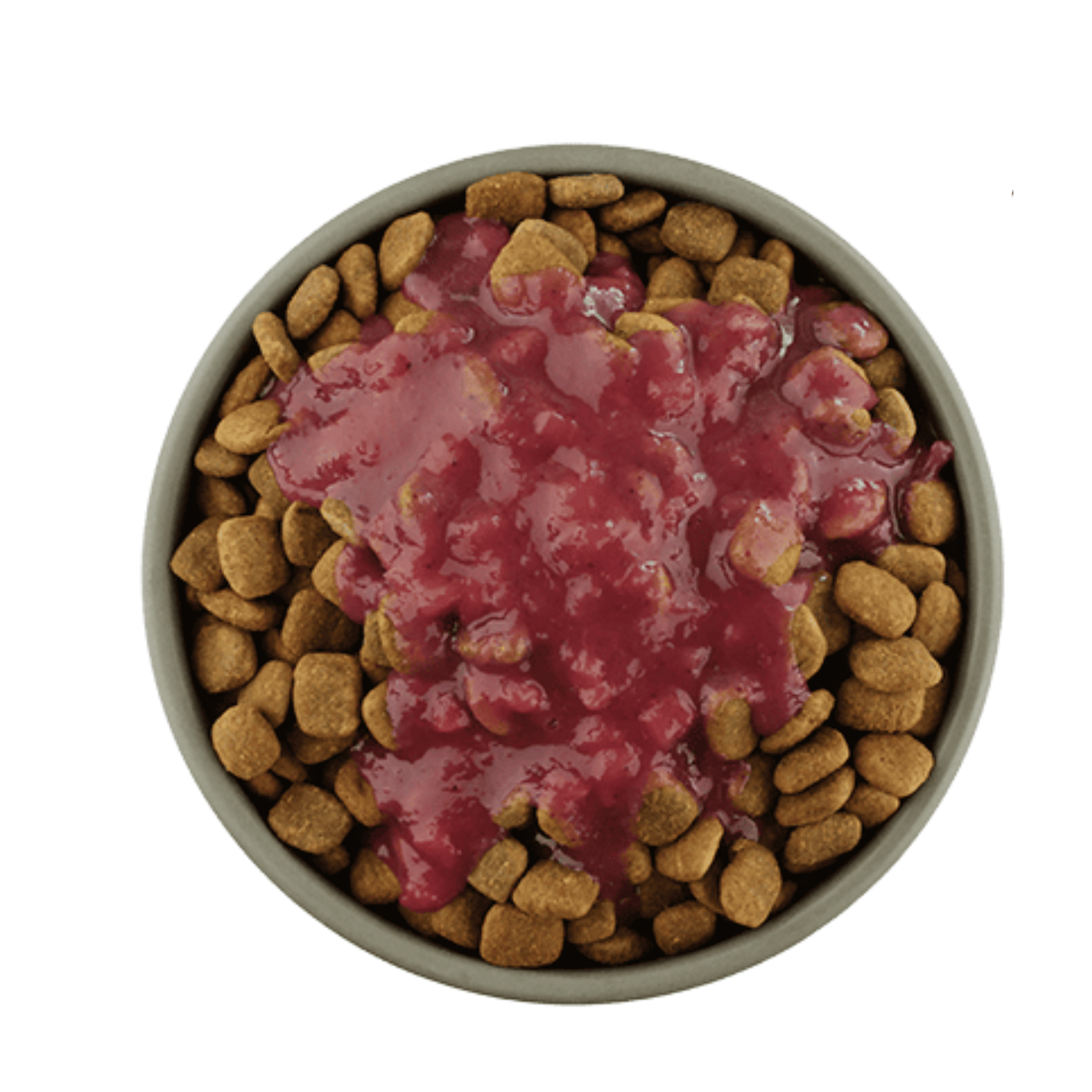 Nourriture humide pour chien aux pommes, poires et myrtilles pour digestion sensible.