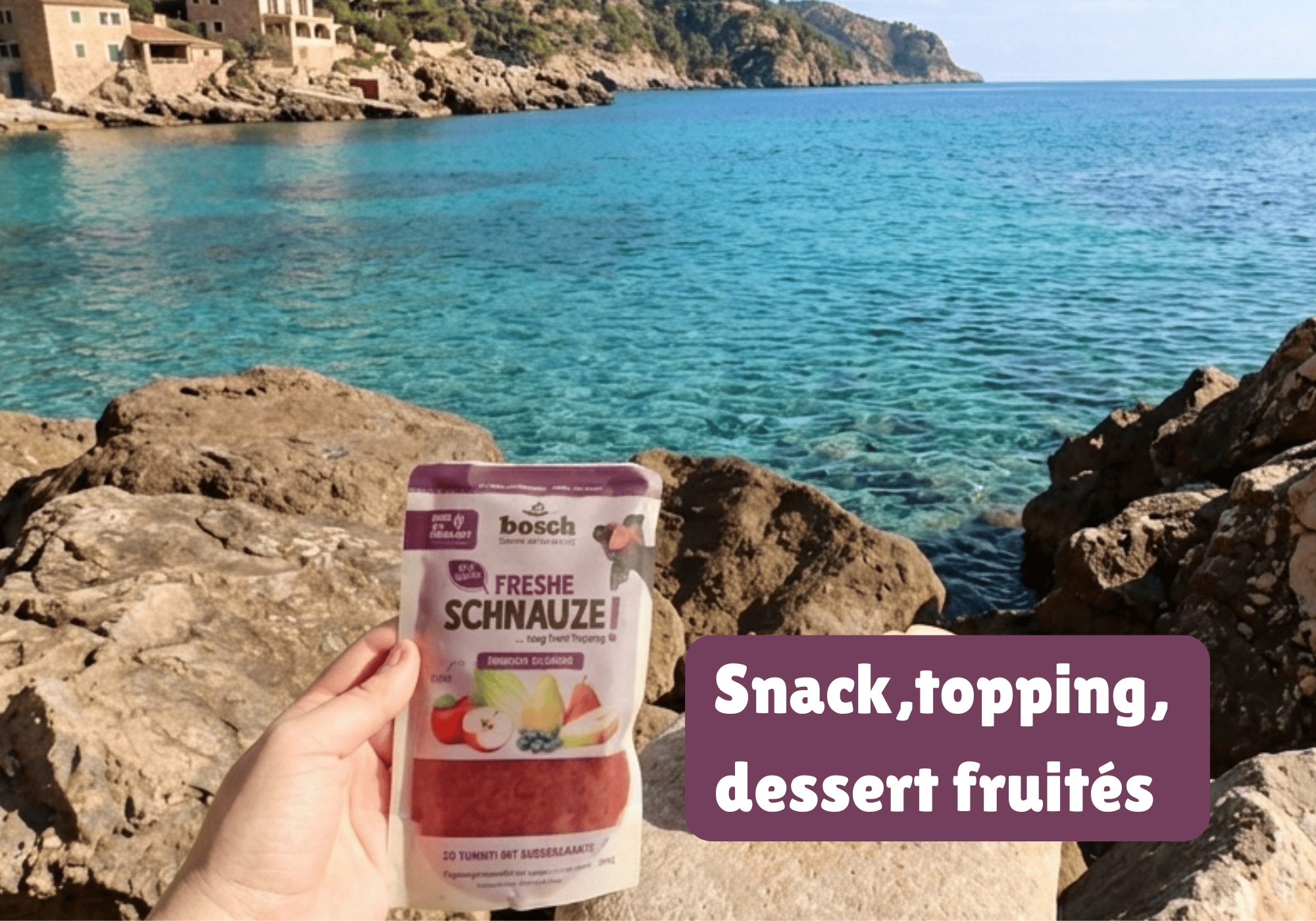 Nourriture humide topping aux fruits pour chien sensible et digestion facile.