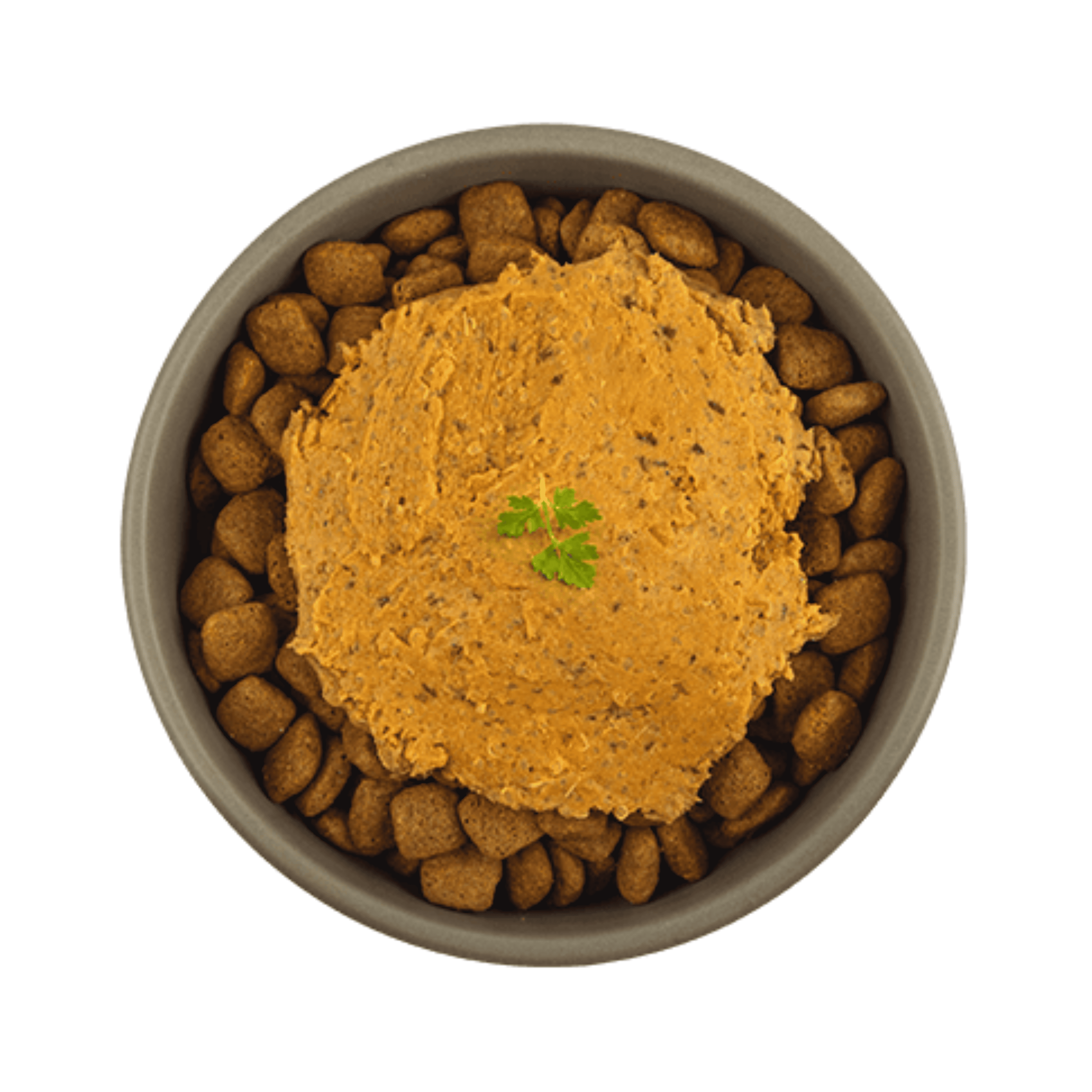 Nourriture humide à la dinde pour chien riche en protéines et hautement digestible.