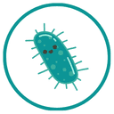 Croquettes favorisant le microbiote de votre chien.