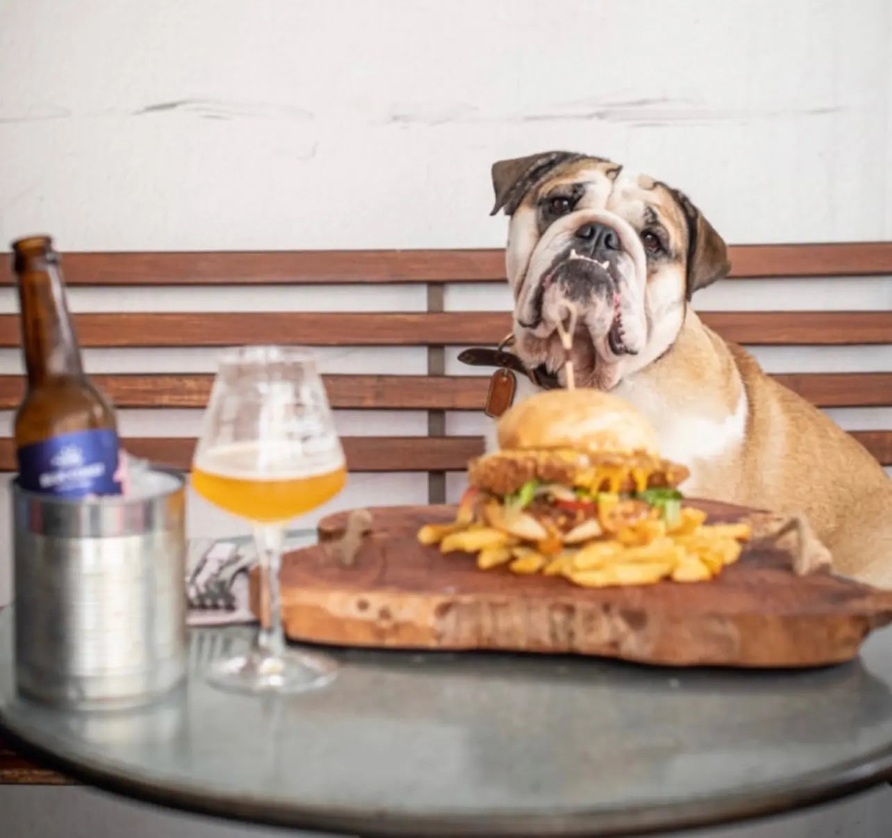 quels sont les aliments dangereux pour votre chien