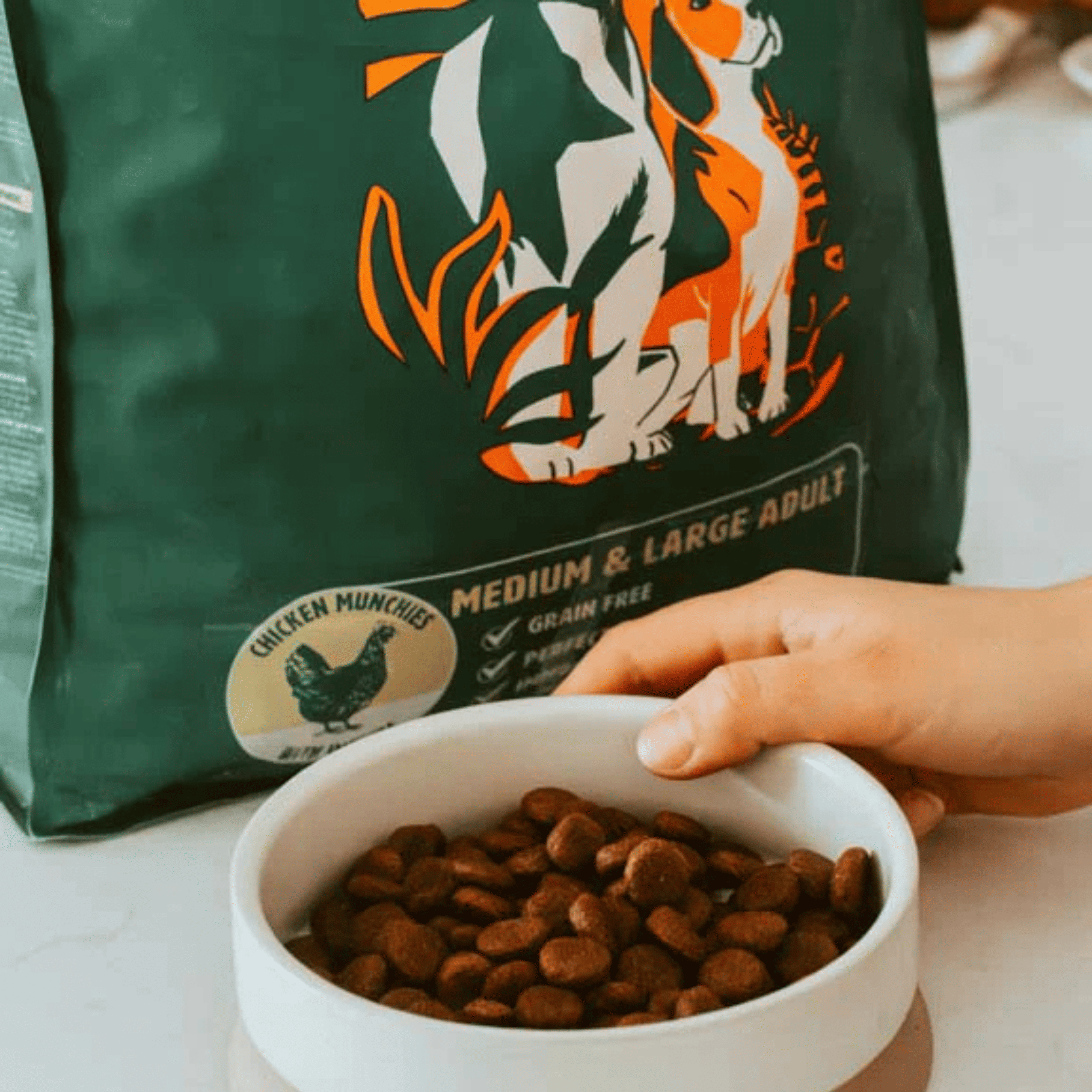 Croquettes aux insectes & poulet |  Hypoallergéniques | Sans Céréales | Chien Adulte PONGO