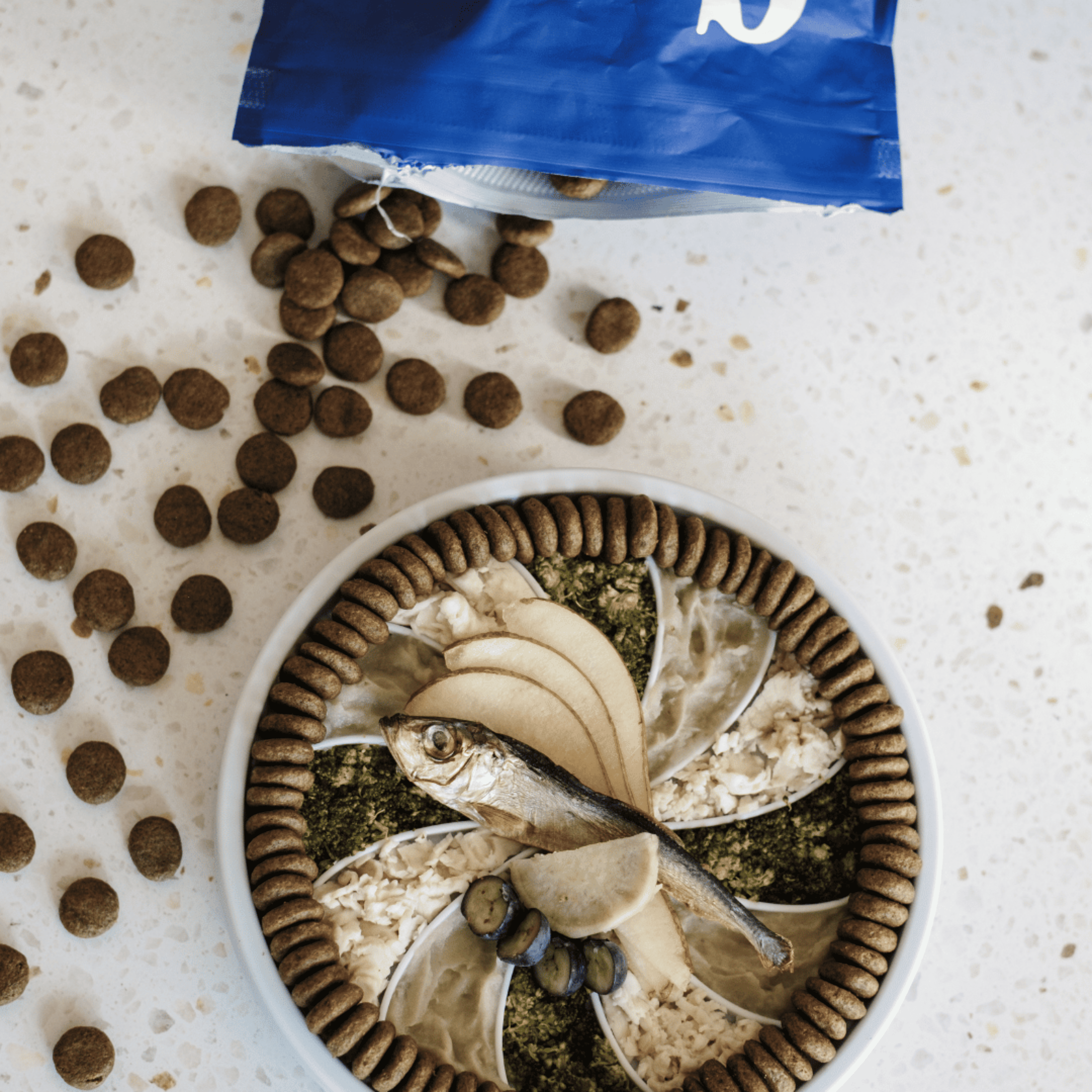 Croquettes aux insectes & poisson | Hypoallergéniques | Sans céréales | Moyenne & Grande taille PONGO