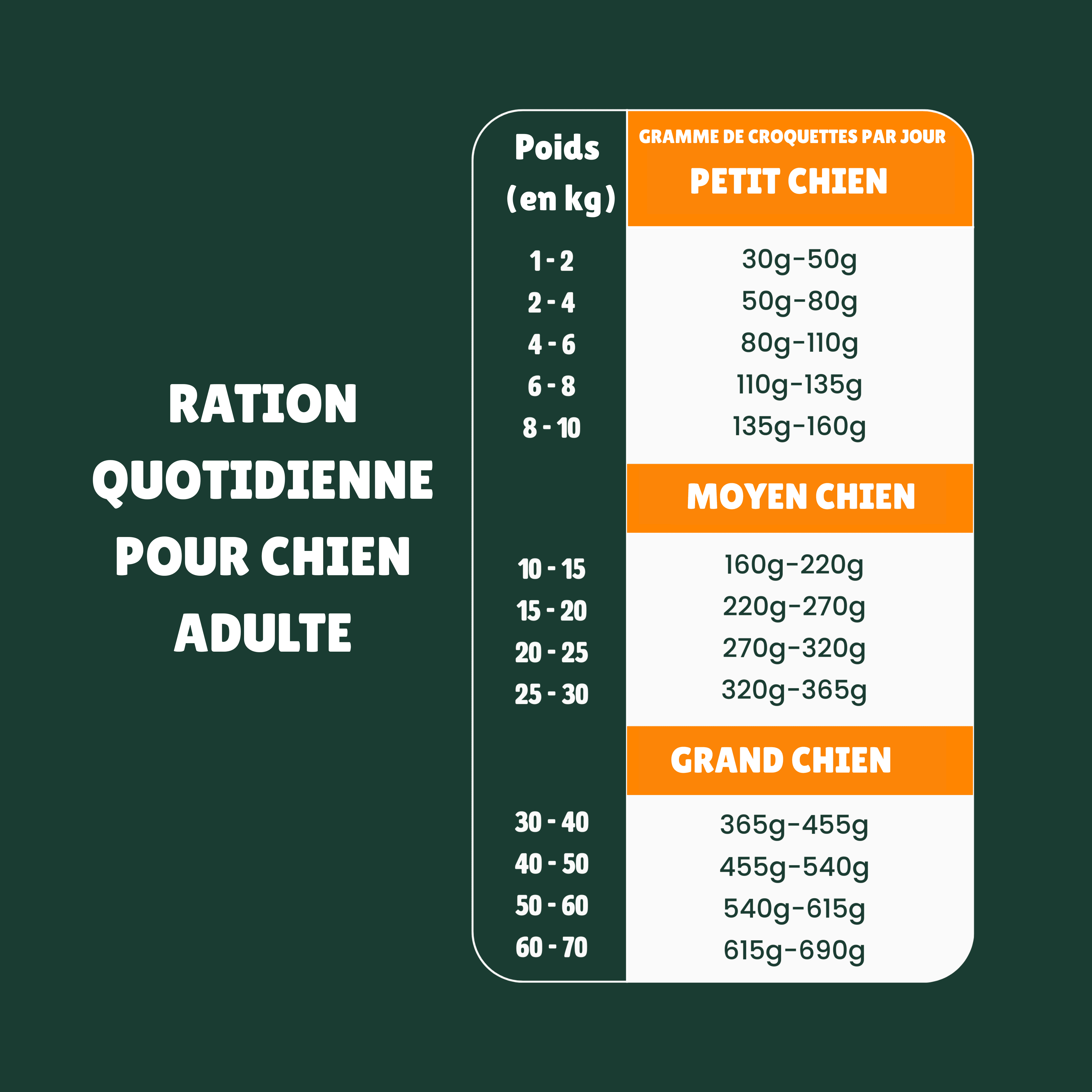 Croquettes aux insectes & poulet |  Hypoallergéniques | Sans Céréales | Chien Adulte PONGO