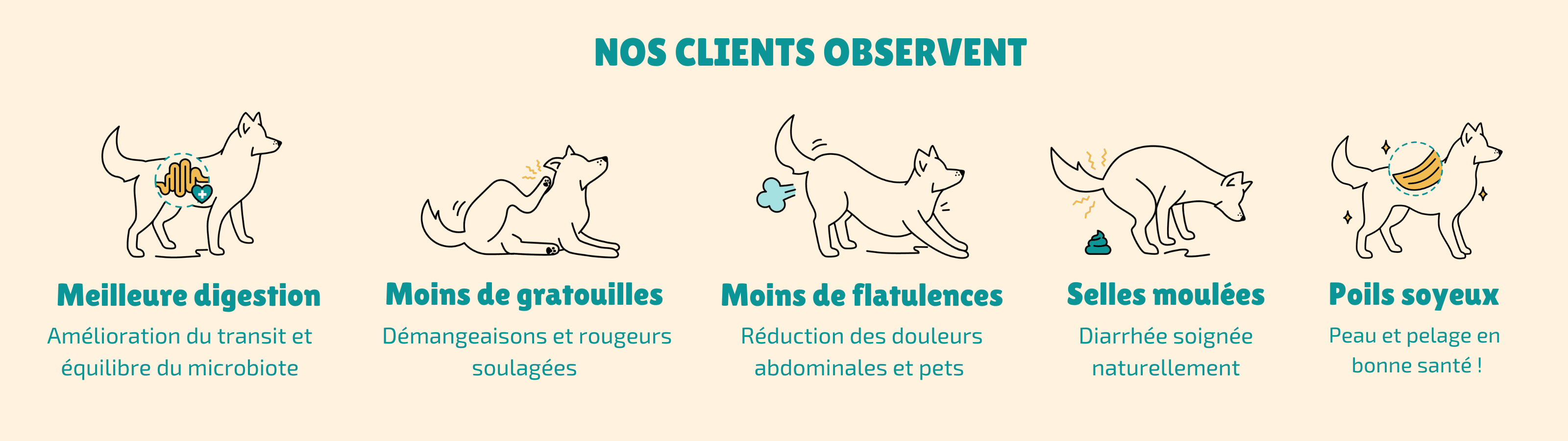 croquettes hypoallergéniques pour chien améliorant la digestion , soulangeant les démangeaisons, réduction des pets, stop la diarrhée et peau saine. Ce sont des croquettes aux insectes.