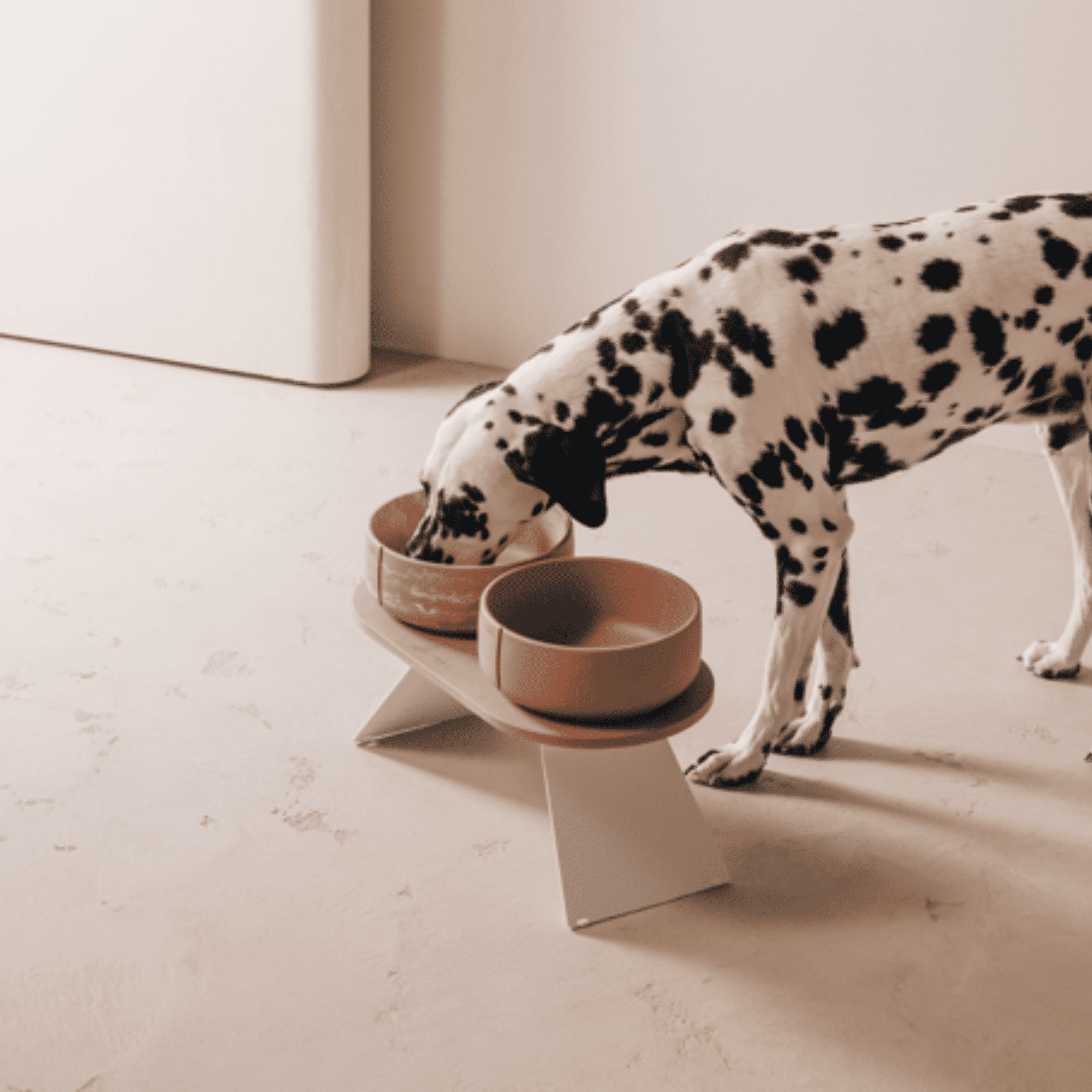 Gamelle pour chien design à base de sable, plus solide que les gamelles pour chien en céramique. Gamelle pour chien design. 