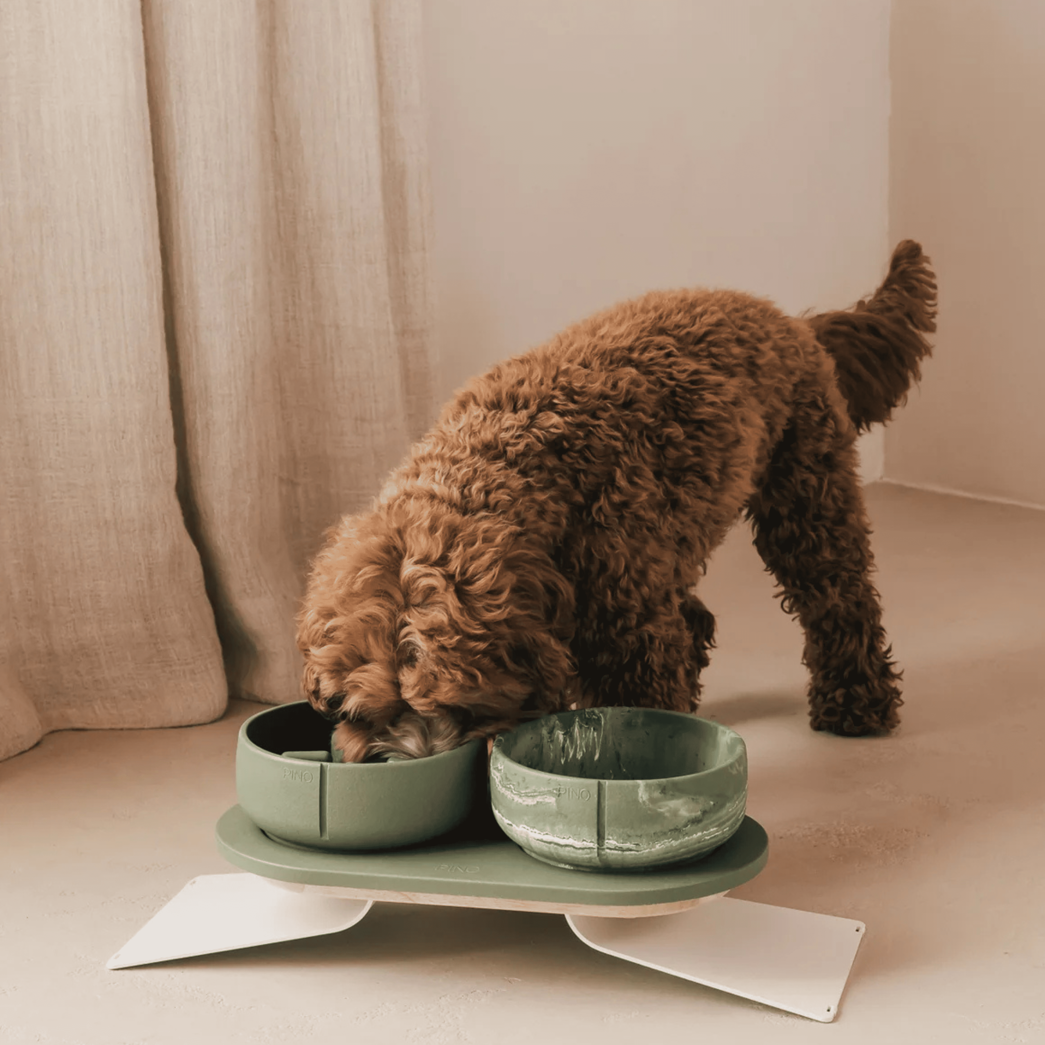 Gamelle anti-glouton pour chien design à base de sable, plus solide que les gamelles pour chien en  céramique. Elle permet à votre chien de manger plus doucement. 