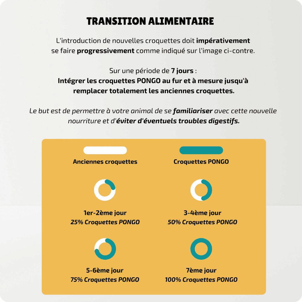 Transition alimentaire pour intégrer nos croquettes aux insectes hypoallergéniques dans l'alimentation de votre chien.