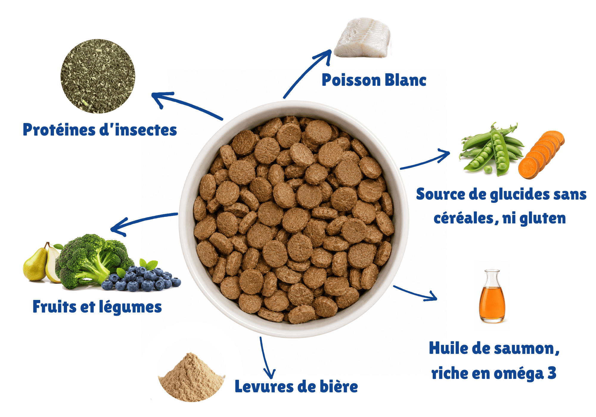 Découvrez la composition des croquettes pour chien gutsy. Croquettes riches en protéine et ingrédients naturels
