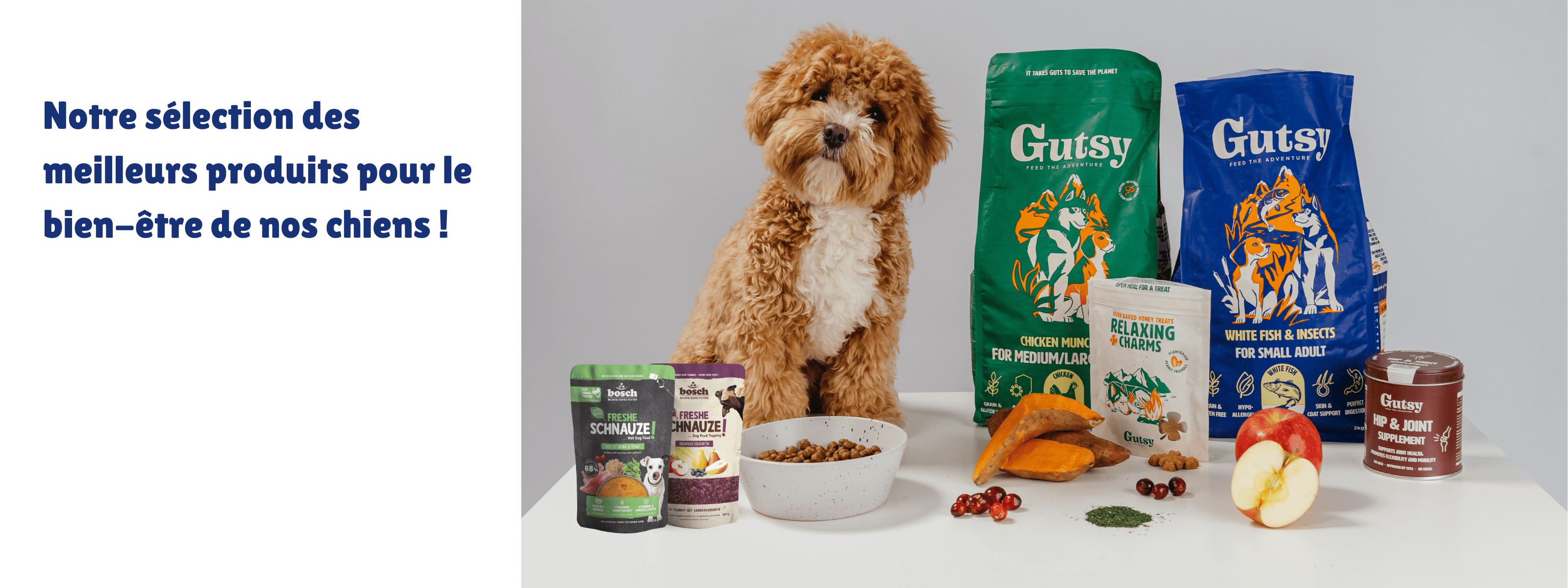 croquettes pour chien adulte.