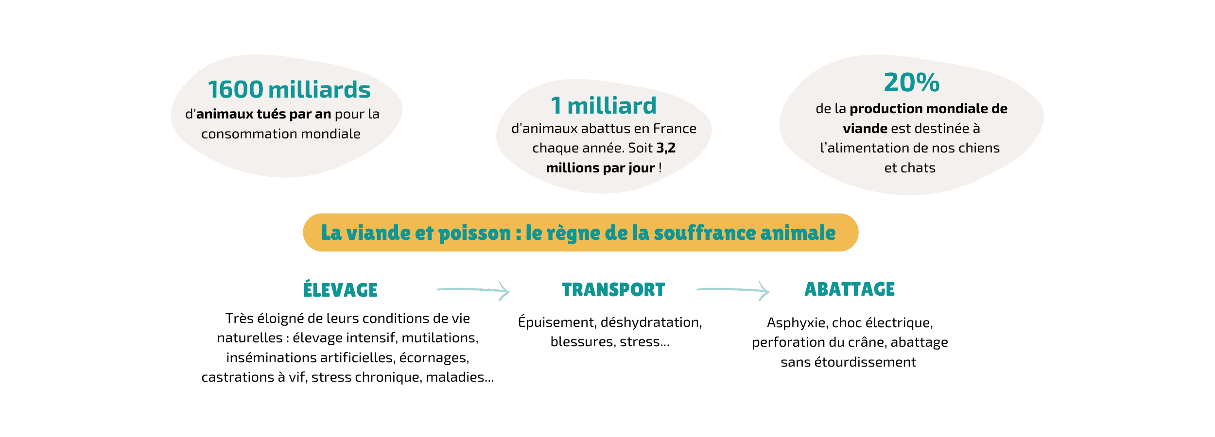 Alternative à la viande traditionnelle. Les insectes comme protéine animale complète et solution hypoallergénique. Adaptés aux besoins nutritionnels des chiens, ils contiennent tous les acides aminés essentiels à leur bonne santé. Production et élevage plus éthiques. Ils sont écologiques. Croquettes hypoallergéniques.