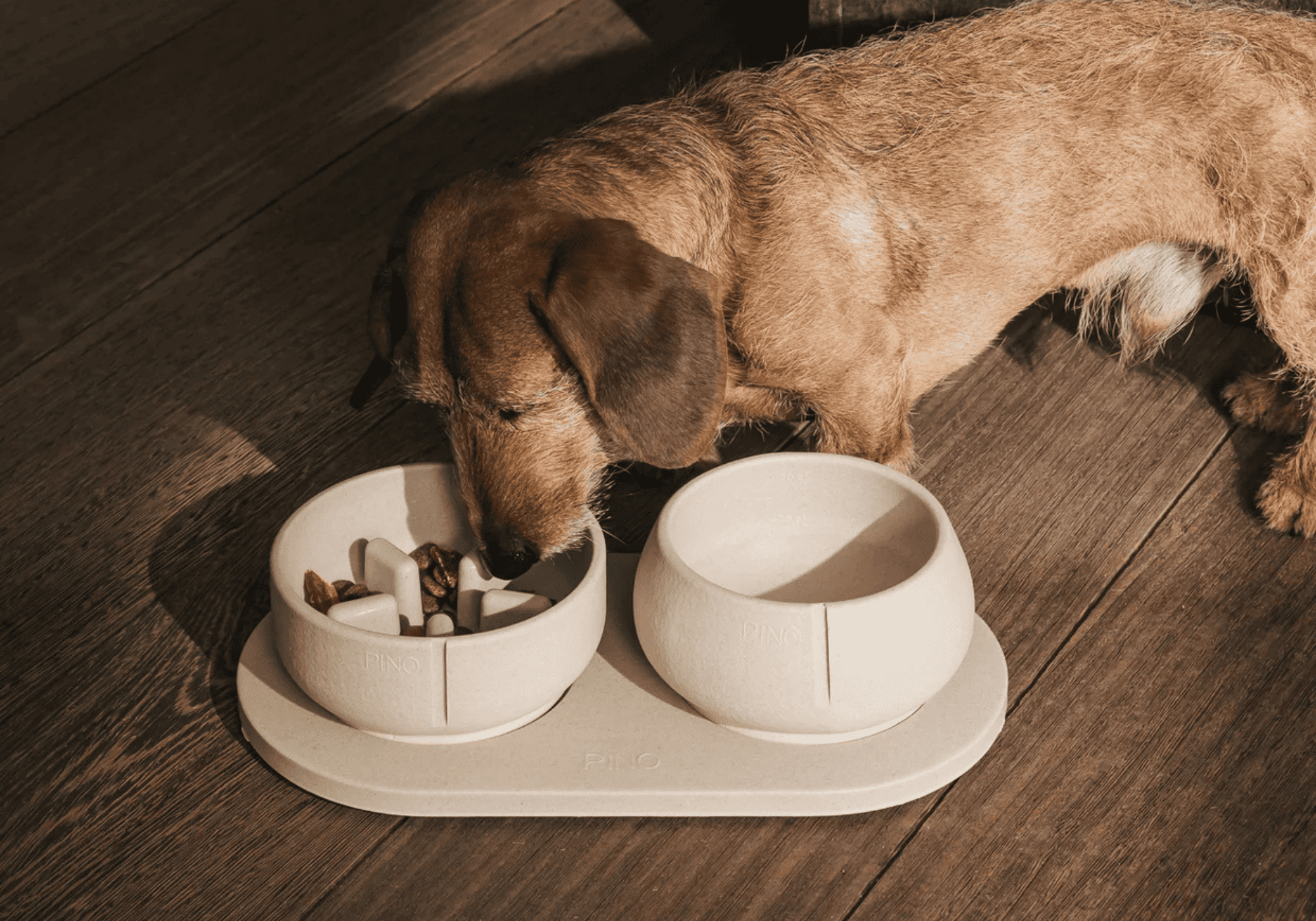 gamelle pour chien anti-glouton robuste et design 