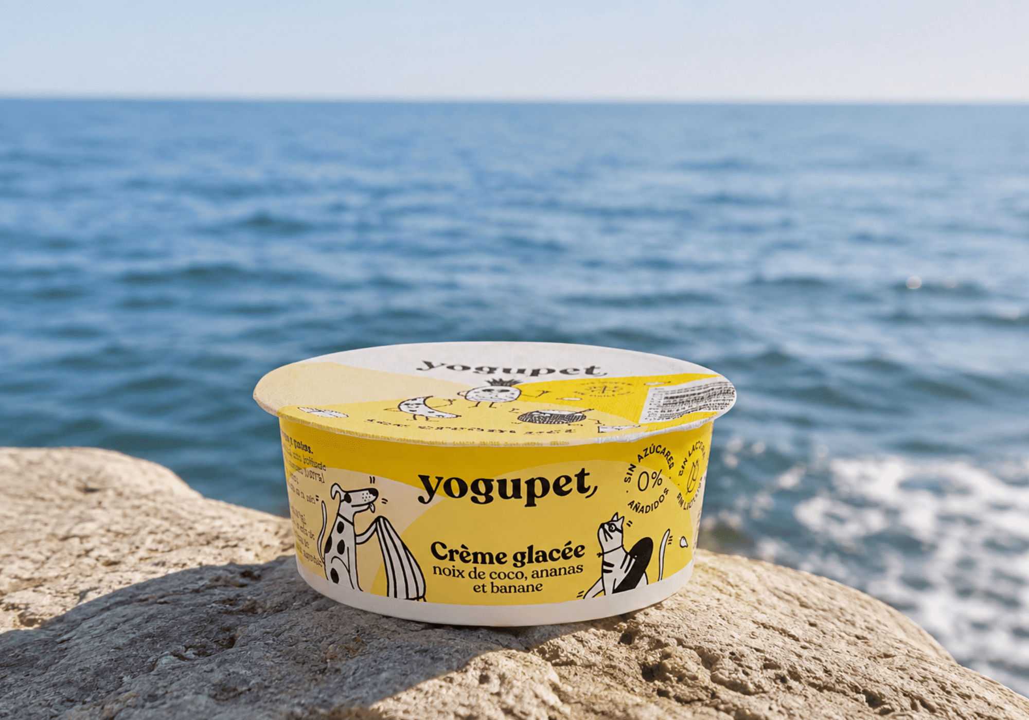 Friandise rafraichissante pour chien : la glace pour chien, goût noix de coco, ananas et banane.