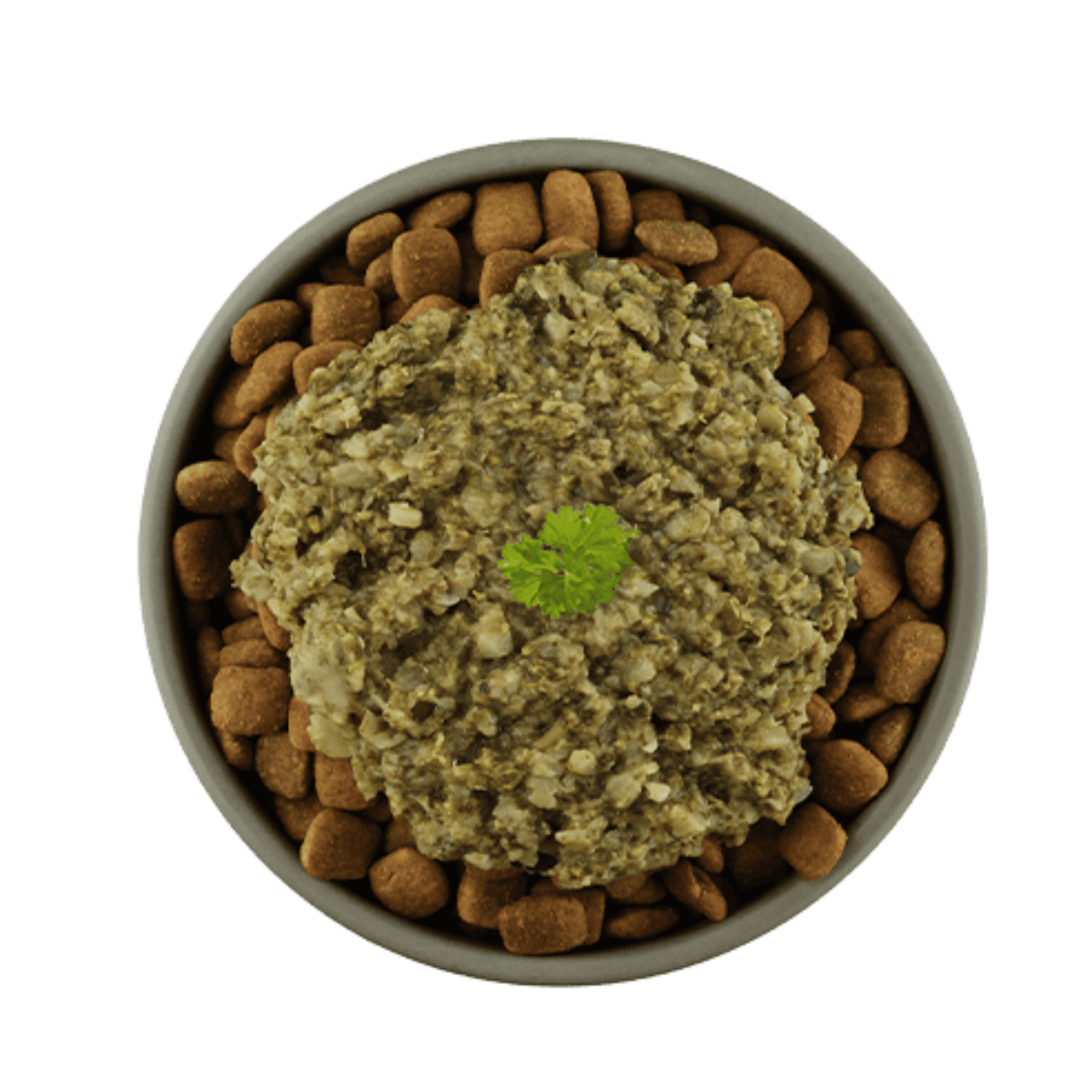Nourriture humide pour chien avec courgettes, brocoli, épinards et légumes frais pour chiens sensibles.
