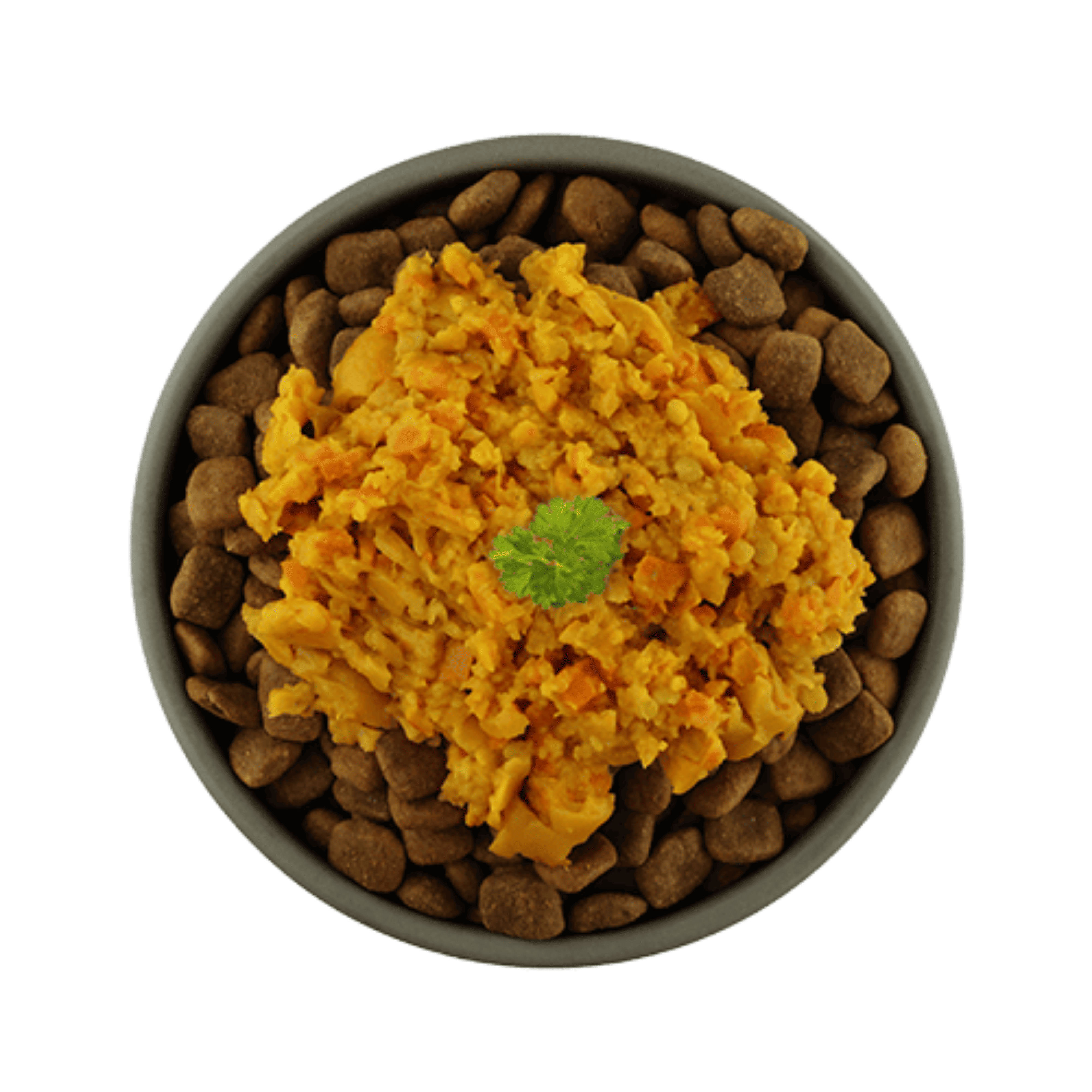 Nourriture humide pour chien avec patate douce, citrouille, carottes fraîches et lentilles rouges.