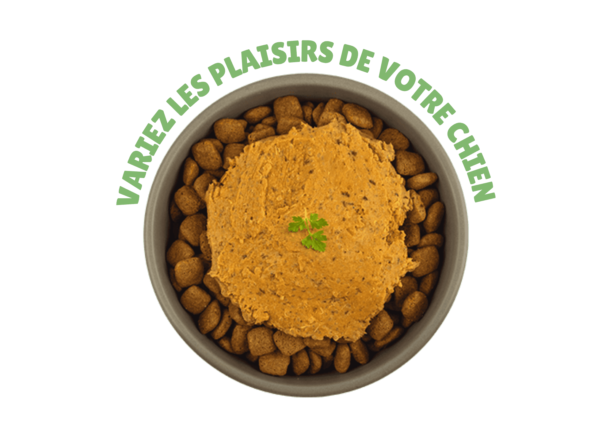 Snack sain pour chien avec alimentation naturelle et digestion facile.