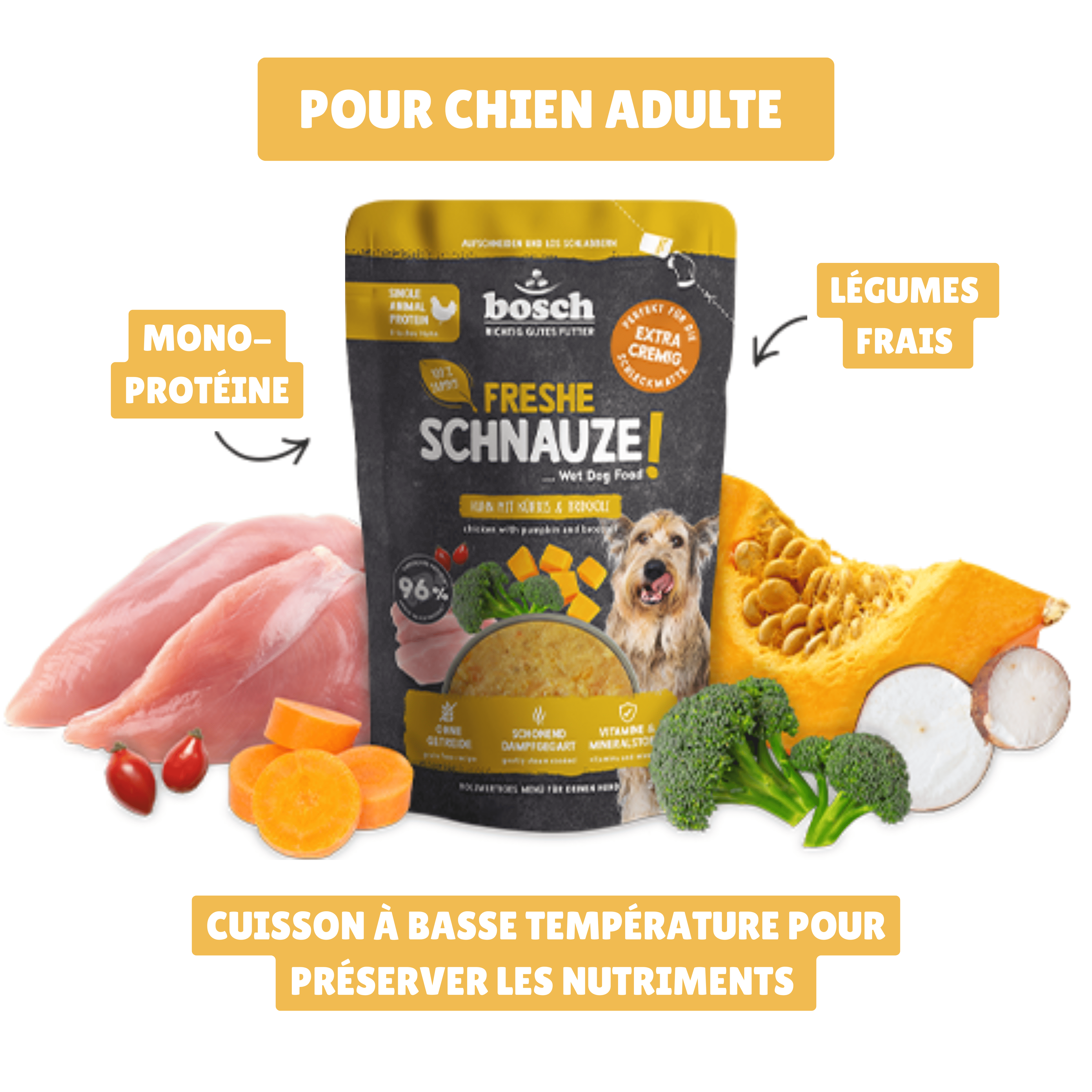 Topping pour chien avec brocoli et citrouille fraîche pour une digestion saine et équilibrée.